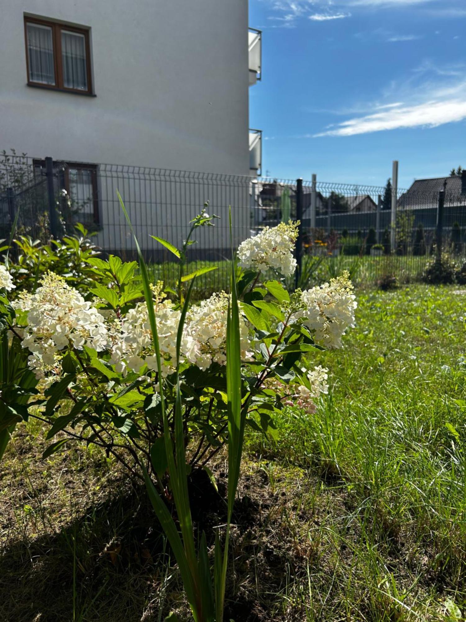 M&M Apartament Glogera 克拉科夫 外观 照片